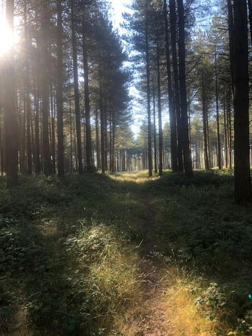 Nightjar Lodge - Adults Only Lackford Eksteriør bilde