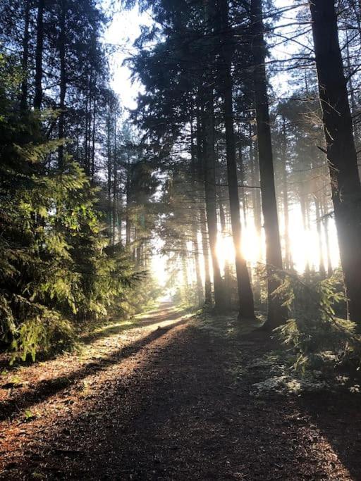 Nightjar Lodge - Adults Only Lackford Eksteriør bilde