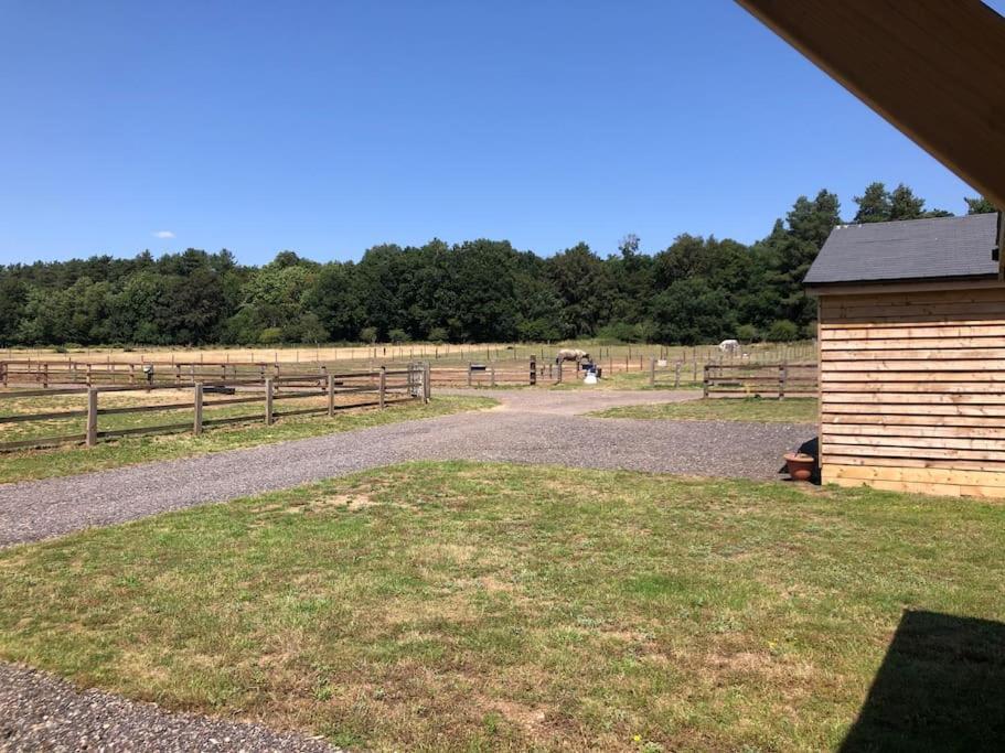 Nightjar Lodge - Adults Only Lackford Eksteriør bilde
